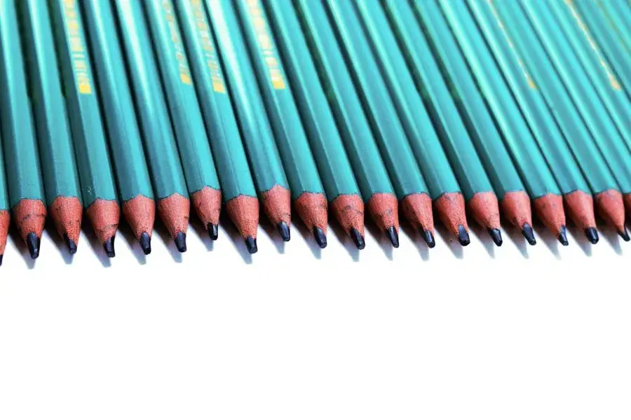 lapiz-negro-bic-evolution-de-72u-12.webp