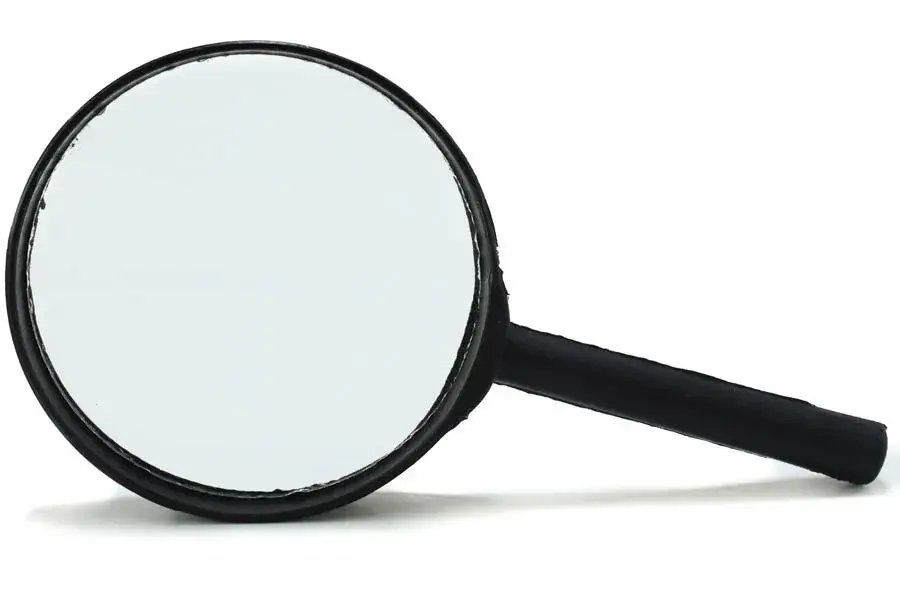 lupa-grande-90mm-317.webp