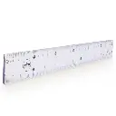 regla-transparente-la-selva-30-cm-255.webp
