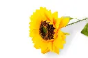 flor---girasol-individual-tallo-gruezo,-largo-64-cm,-corola-17-cm-3029.jpg.webp