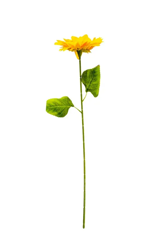 flor---girasol-individual-tallo-gruezo,-largo-64-cm,-corola-17-cm-3027.jpg.webp