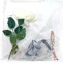 1572-1-2.webp