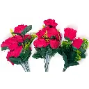 0227-6-2.webp