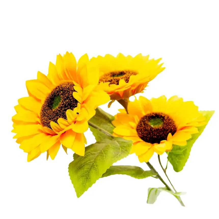 flor---ramo-de-3-girasoles,-largo-93-cm,-1-corola-17-cm-y-2-corolas-de-3033.jpg.webp