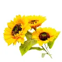 flor---ramo-de-3-girasoles,-largo-93-cm,-1-corola-17-cm-y-2-corolas-de-3033.jpg.webp