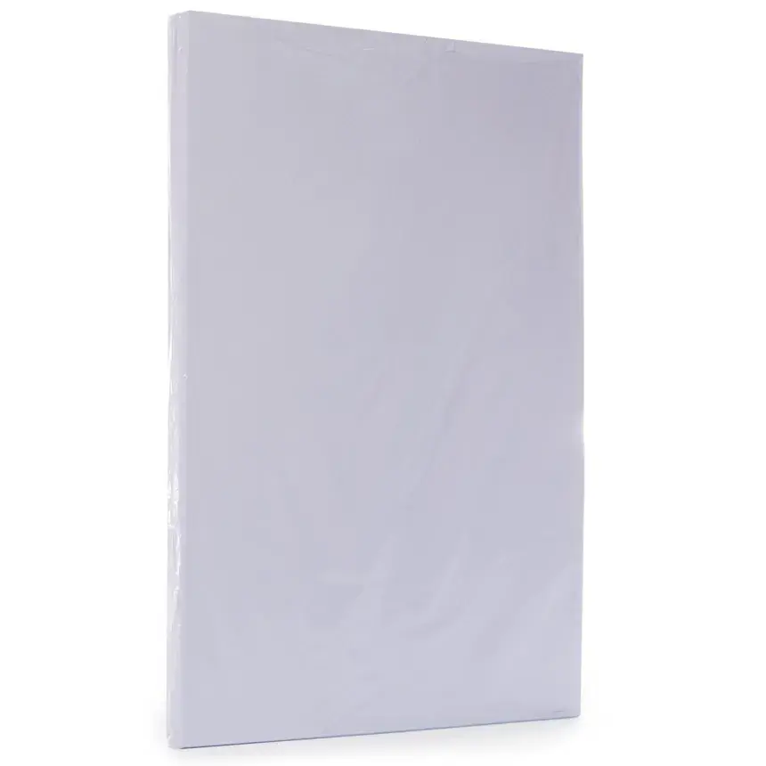 cartulina-doble-carta-blanco-de-100-hojas-487.webp