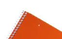 cuaderno-anillado-american-iris-carta-100h-10u-511.webp