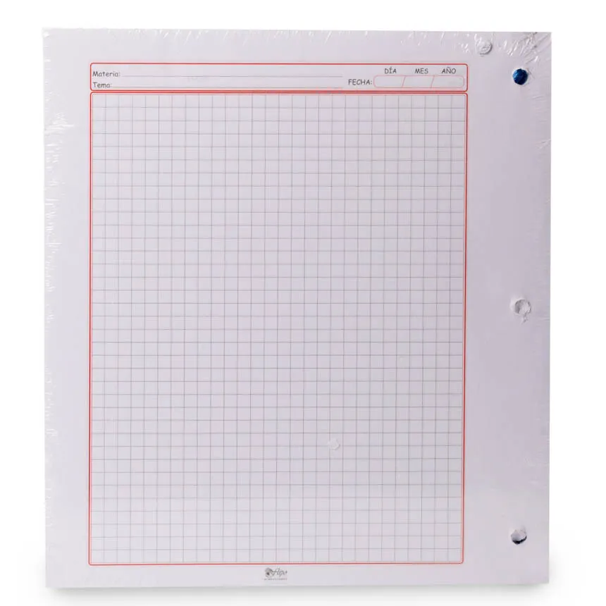 Hojas de carpeta Flipo 500h