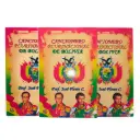 Cancionero plurinacional Jose Flores